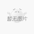 擔(dān)保的方式
